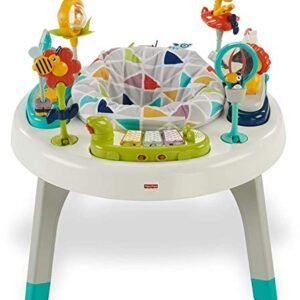Fisher-Price 2-in-1 Sit-to-Stand Activity Center, Assorted