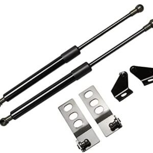 KUNSYOUKIM Lift Supports for Toyota RAV4 RAV 4 2019-2021 Front Bonnet Hood Modify Carbon Fiber Gas Charged Shock Dampers Spring Struts Bar (2 PCS) (Normal black)
