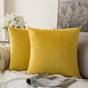 MIULEE Pack of 2, Velvet Soft Solid Decorative Square Throw Pillow Covers Set Cushion Case for Sofa Bedroom Car 18 x 18 Inch 45 x 45 cm