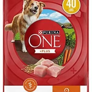 Purina ONE SmartBlend Natural Healthy Weight Formula Adult Dry Dog Food & Wet Dog Food
