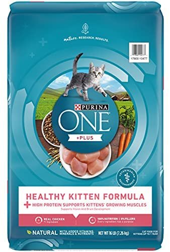 Purina ONE Healthy Kitten Formula Kitten Food