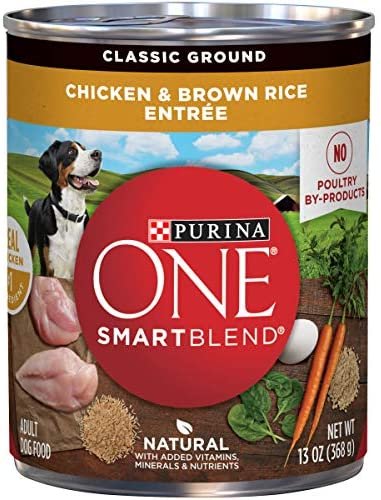 Purina ONE SmartBlend Canned Wet Dog Food