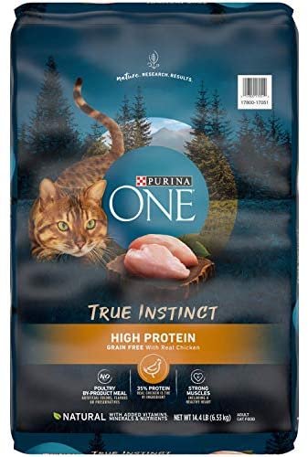 Purina ONE Cat Food