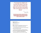 Betta Fish – Learn How to Give Your Betta a Great Life!