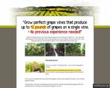 Grow Perfect Grapes