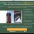 Gain Confidence, Self-Esteem & Assertiveness: Become a Confident Man