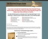 The Bearded Dragon Guide &raquo; How to Care for Bearded Dragons