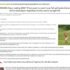 Powerpoint Explainer – op