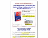 Niche Blogging Profits I Blog for Money (Faster)