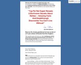 Pet Rats – Guide to Easy Pet Rat Care and Training