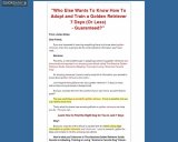 The Absolute Golden Retriever Guide