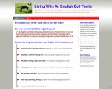 English Bull Terrier | How to live with an English Bull Terrier, Puppies To Adult !