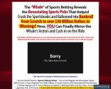 The Whale Picks